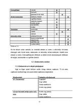 Biznesa plāns 'Sporta bāzes biznesa plāns', 14.