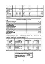 Biznesa plāns 'Sporta bāzes biznesa plāns', 22.