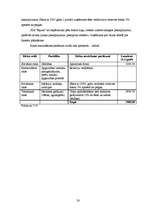 Biznesa plāns 'Sporta bāzes biznesa plāns', 28.