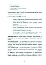 Referāts 'Manas organizācijas vēsture un vadīšanas prakse', 7.