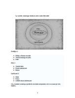 Konspekts 'Reklāma', 4.