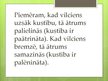 Prezentācija 'Paātrinājums', 7.