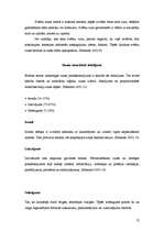 Referāts 'Seno laiku oratorija (retorika) un mūsdienu publiskā runa', 13.