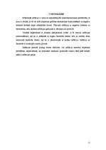 Referāts 'Inflācija', 12.