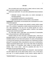 Referāts 'SIA kā visizplatītākā komercdarbības forma', 3.