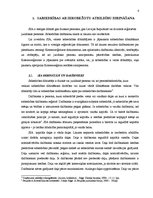 Referāts 'SIA kā visizplatītākā komercdarbības forma', 6.