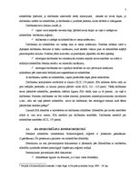 Referāts 'SIA kā visizplatītākā komercdarbības forma', 7.