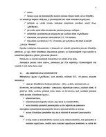 Referāts 'SIA kā visizplatītākā komercdarbības forma', 8.