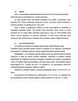 Referāts 'SIA kā visizplatītākā komercdarbības forma', 10.