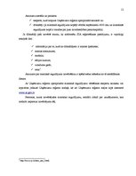 Referāts 'SIA kā visizplatītākā komercdarbības forma', 12.