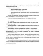 Referāts 'SIA kā visizplatītākā komercdarbības forma', 19.