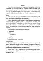 Referāts 'Cukurs un medus', 2.