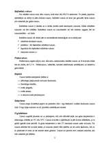 Referāts 'Cukurs un medus', 3.