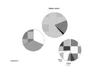 Referāts 'Cukurs un medus', 10.