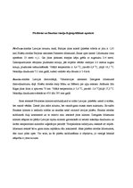 Referāts 'Gaisa temperatūra un dinamika', 5.