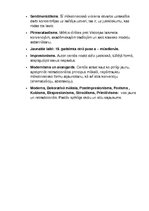 Konspekts 'Mākslas periodu hronoloģija', 3.