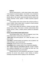 Konspekts 'LR Satversmes institucionalizācija: izpildvara un tiesu vara, prezidentūra. Attu', 2.