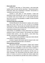 Konspekts 'LR Satversmes institucionalizācija: izpildvara un tiesu vara, prezidentūra. Attu', 3.