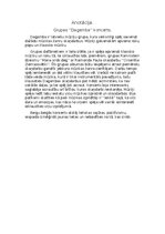 Eseja 'Grupas ''Dagamba'' koncerts', 1.