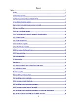 Referāts 'Sievišķības simboli kā sieviešu kapitāls Padomju Savienībā un mūsdienās: Rīgas p', 3.