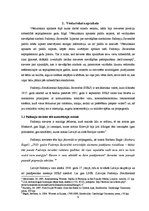 Referāts 'Sievišķības simboli kā sieviešu kapitāls Padomju Savienībā un mūsdienās: Rīgas p', 6.