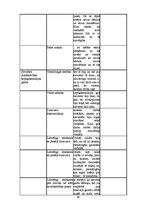 Referāts 'Sievišķības simboli kā sieviešu kapitāls Padomju Savienībā un mūsdienās: Rīgas p', 64.