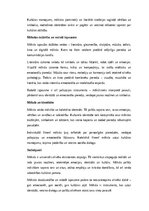 Eseja 'Māksla kā cilvēka eksistences atspulgs: emocionālā un kultūras dimensija', 2.