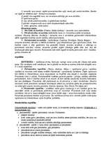 Konspekts 'Vispārējās valsts zinātnes eksāmena jaut. atbildes', 13.