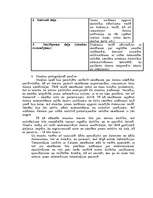 Referāts 'Mācību stundas plānojums', 2.