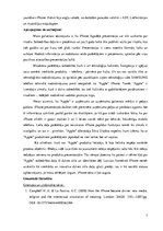 Referāts 'Rituālkomunikācijas prakses piemērs', 7.