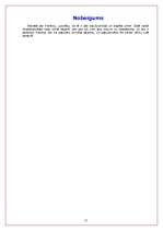 Referāts 'Francija', 11.