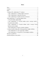 Diplomdarbs 'Uzņēmuma SIA "Labiekārtošana-D" analīze', 3.