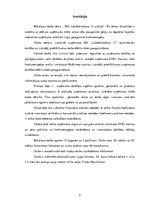 Diplomdarbs 'Uzņēmuma SIA "Labiekārtošana-D" analīze', 4.