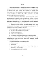 Diplomdarbs 'Uzņēmuma SIA "Labiekārtošana-D" analīze', 7.