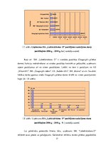 Diplomdarbs 'Uzņēmuma SIA "Labiekārtošana-D" analīze', 17.