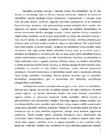 Eseja 'Pašvaldību reformas', 2.