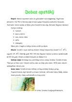 Referāts 'Izraēla', 7.