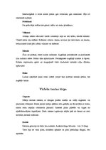 Referāts 'Ludzas novada tautas tērpi', 2.