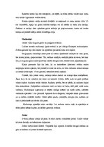 Referāts 'Ludzas novada tautas tērpi', 3.