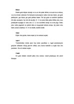 Referāts 'Ludzas novada tautas tērpi', 4.