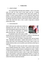 Referāts 'Skārienu sensori', 15.