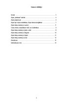 Referāts 'Sejas formas un to korekcija', 2.