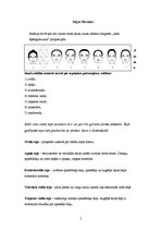 Referāts 'Sejas formas un to korekcija', 5.