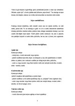 Referāts 'Sejas formas un to korekcija', 8.