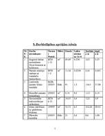 Referāts 'Būvdarbu organizācija', 7.