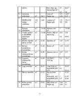 Referāts 'Būvdarbu organizācija', 11.