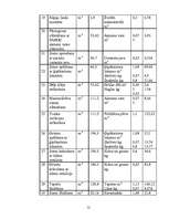 Referāts 'Būvdarbu organizācija', 12.