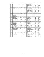 Referāts 'Būvdarbu organizācija', 13.