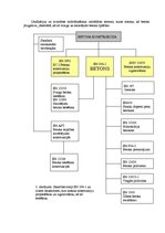 Konspekts 'Viss par betonu', 2.