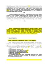 Konspekts 'Viss par betonu', 4.